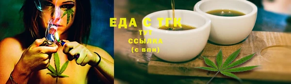шишки Инта