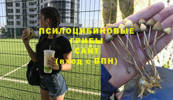 амфетамин Алексин