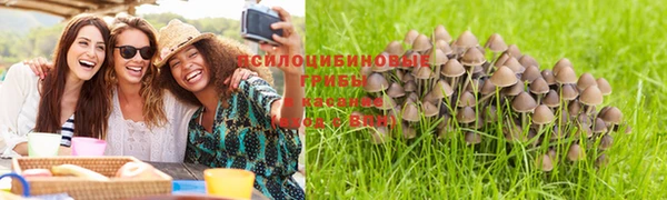амфетамин Алексин